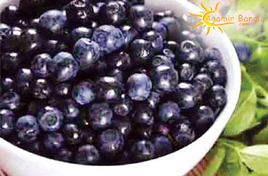 health benefits of black berries.